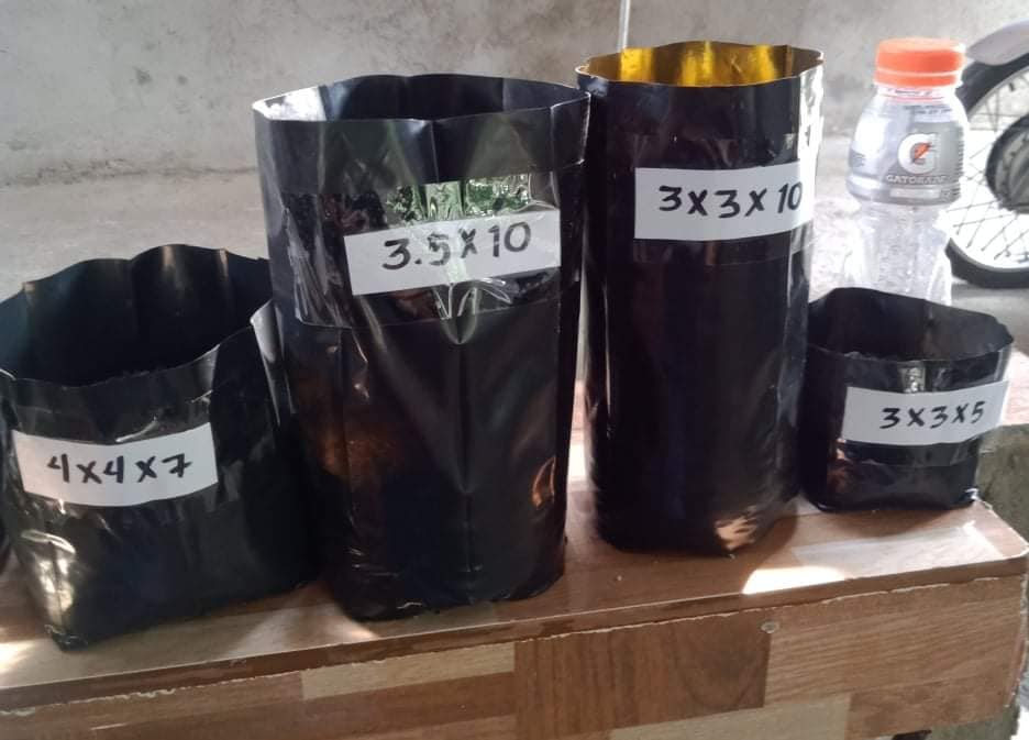 Seedling Bag Agri Bag 7x10 or 3.5x3.5x10 (500pcs) | Lazada PH