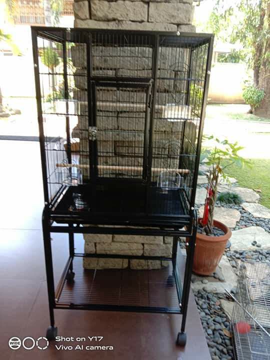 6ft bird cage