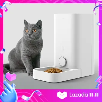 small automatic cat feeder