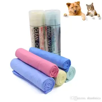 cheap pet accessories online