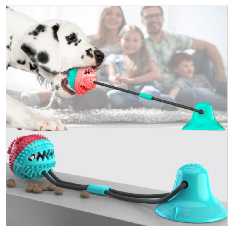 dog tug of war suction cup