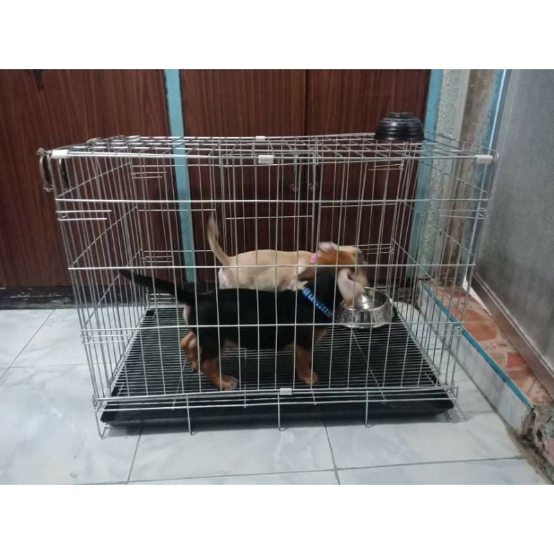 heavy duty XXL collapsible dog cage GALVANIZE avail po guaranted lowest