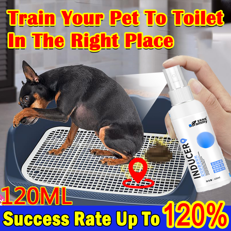 😻Good Helper😻Borammy Potty Spray Potty Trainer for Dogs Pet toilet
