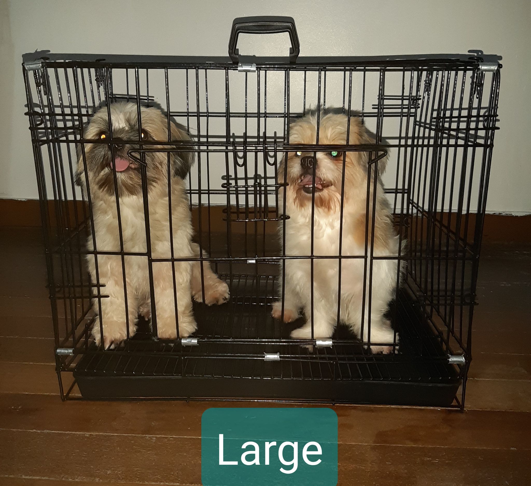 cat cage for sale lazada