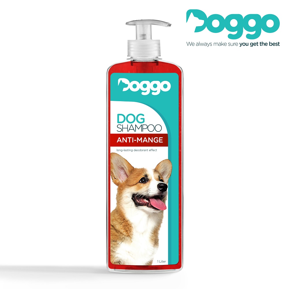 best dog shampoo for mange