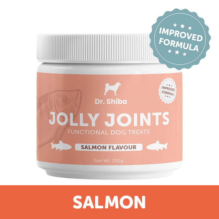 Dr Shiba Jolly Joints Healthy Dog Treats Supplement Snacks for Pets for