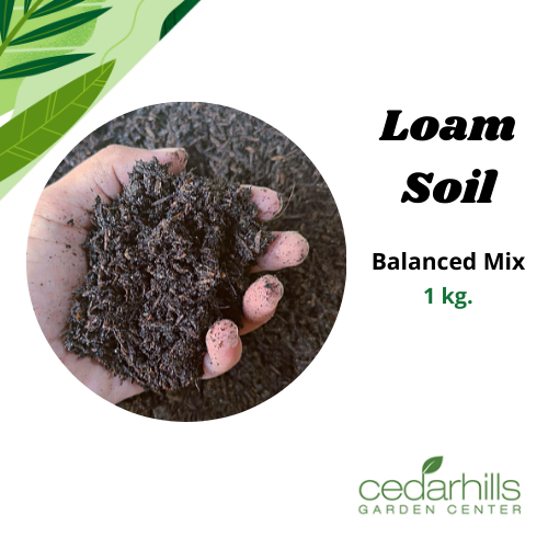Cedarhills Garden Loam Soil Potting mix 1kg. balanced mix with ipa