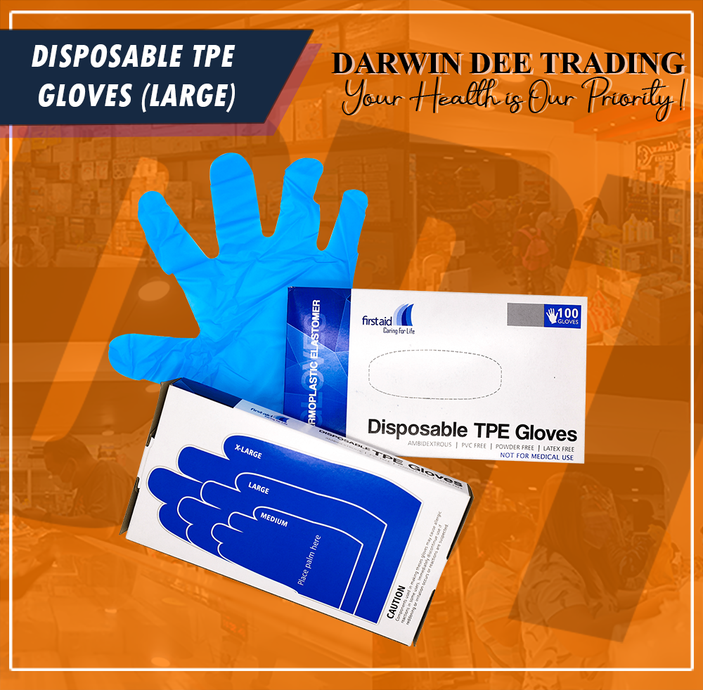 DISPOSABLE TPE GLOVES LARGE 100 PIECES Lazada PH
