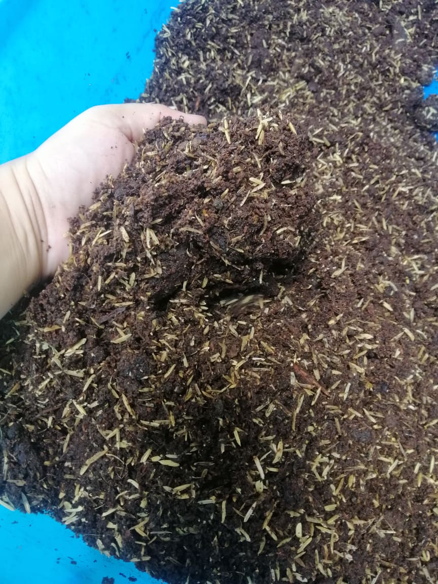 2 kilos Mixed Garden Soil, Humus Mixed healthy soil (carbonized rice