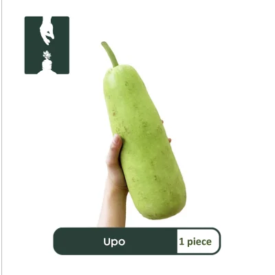 1 PIECE - UPO —Fruits, Vegetables, Meat, Seafood Online Home Delivery — Handpicked Ingredients Fresh