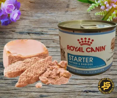 Royal Canin Starter Mousse Mother & Baby dog
