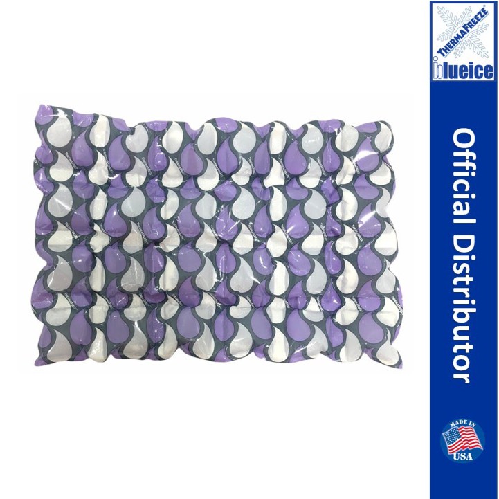 Thermafreeze USA 3Ply 6 x 4 Reusable Ice Sheets Gel Ice Pack Paisley Lazada PH