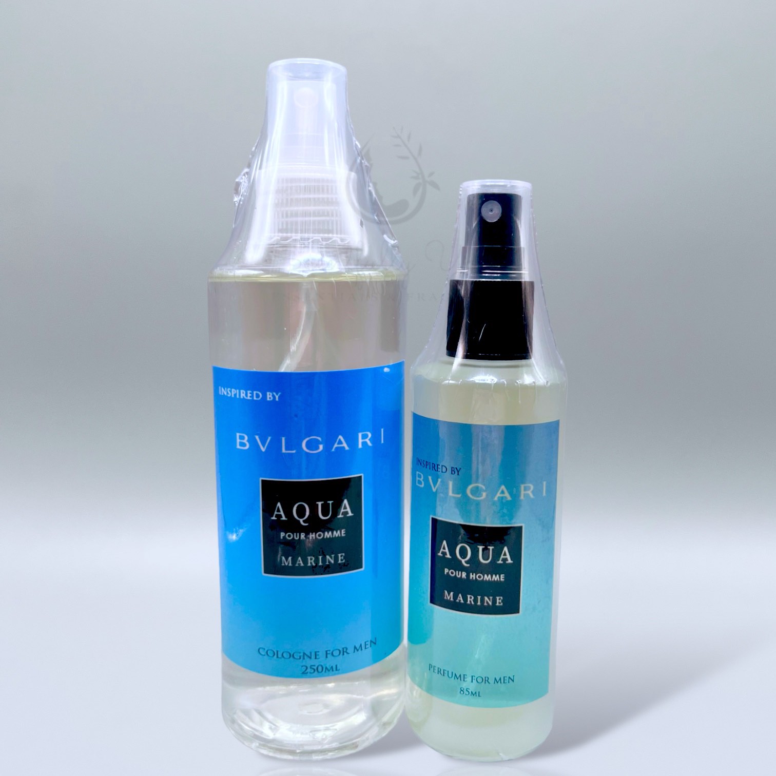 Aqua 2024 marine cologne