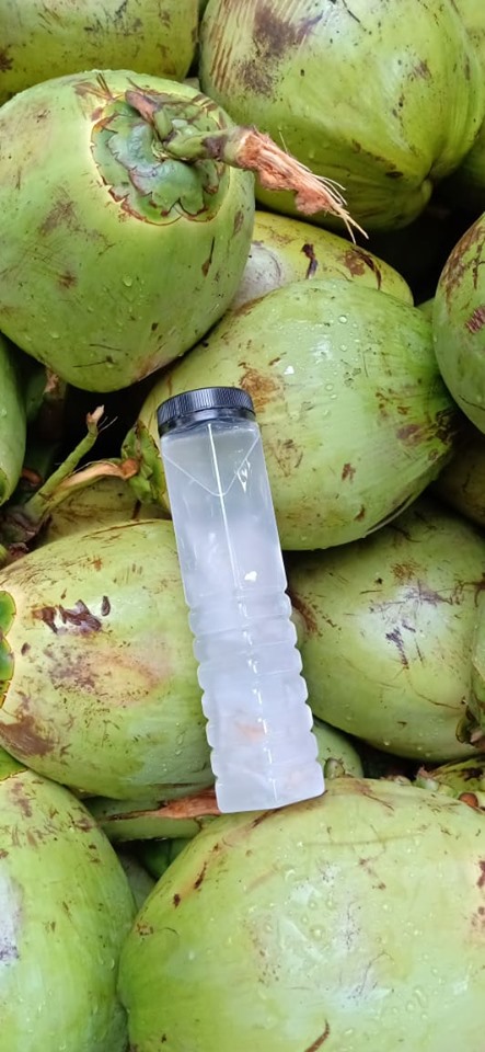 Fresh buko outlet juice