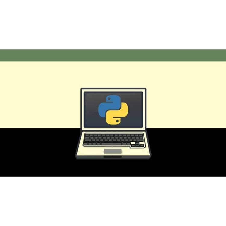 [COURSE] - Automate the Boring Stuff with Python Programming | Lazada PH