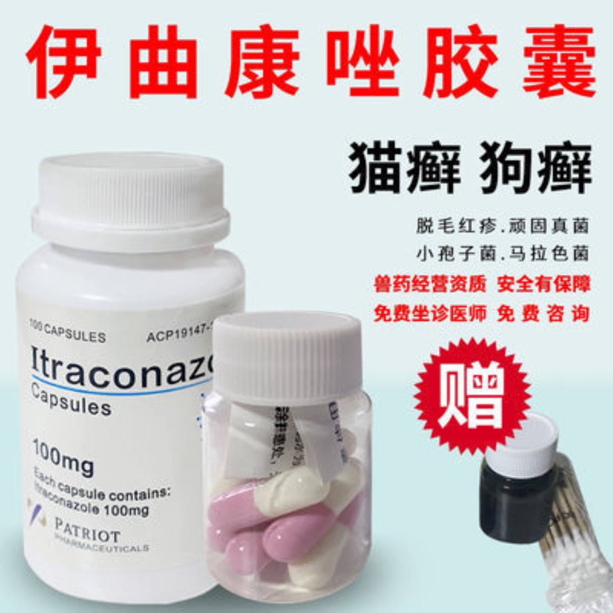 itraconazole feline ringworm dog ringworm oral medicine fungal