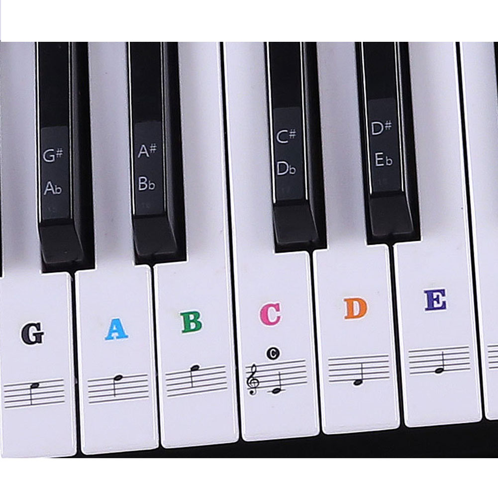 KAWES Transparent Piano Keyboard Stickers 37key/49key/61 keyor 88-key ...