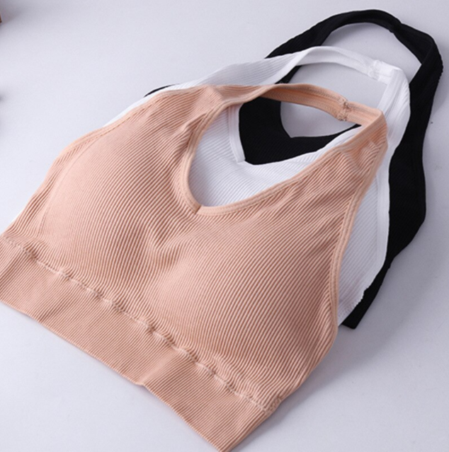 crop top bra padded