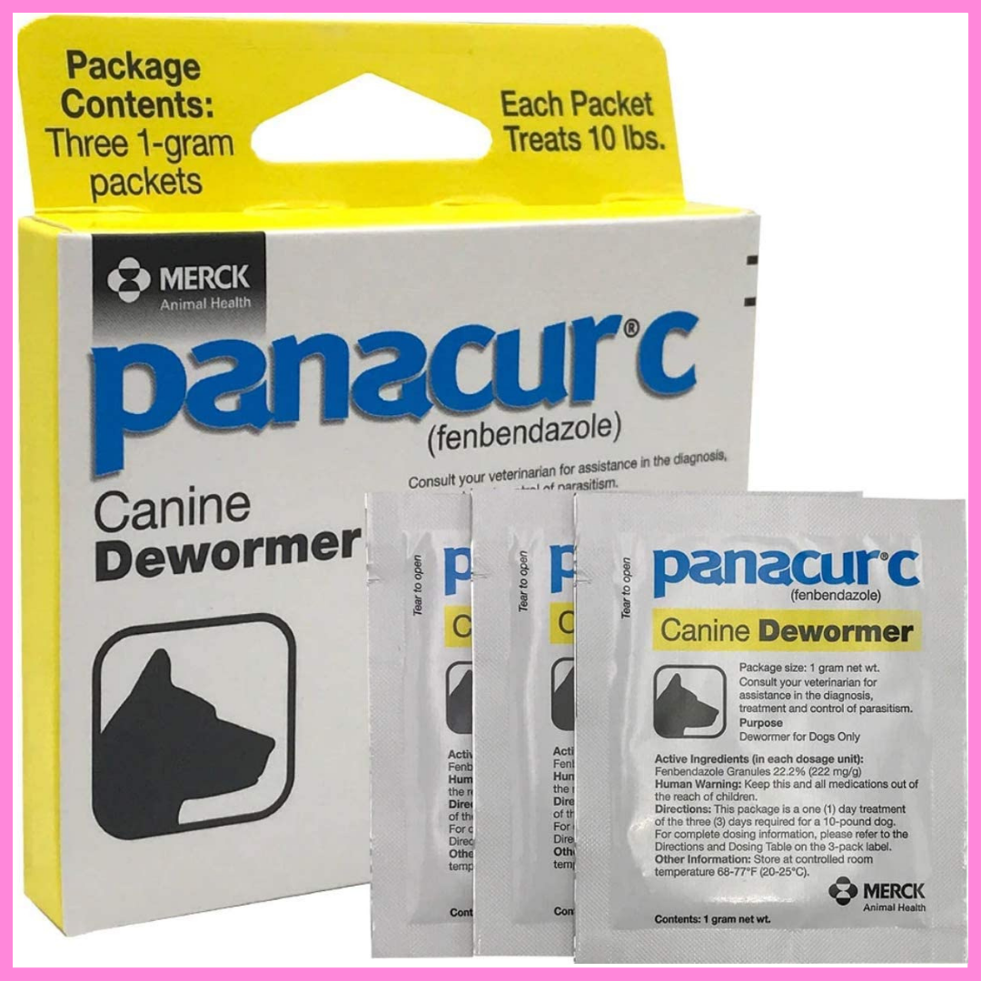 On Hand Panacur C Canine Dewormer Fenbendazole Yellow 1 Pack (3 Sachet