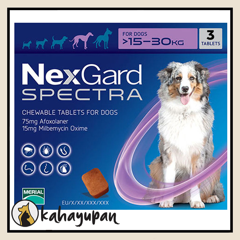 Nexgard Spectra Single Anti Tick, Flea, Mange and Deworming