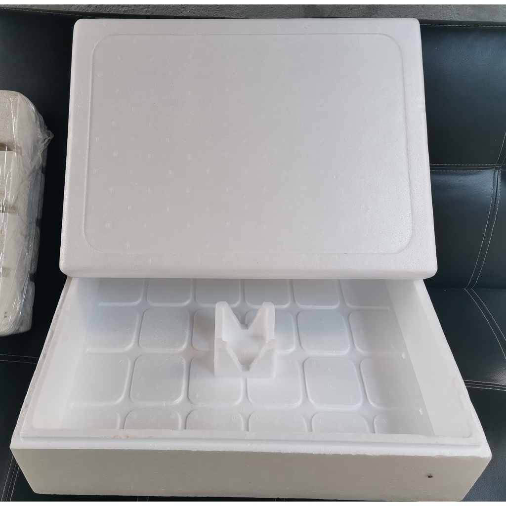 Styrofoam Hydroponics Grow Box Lazada PH