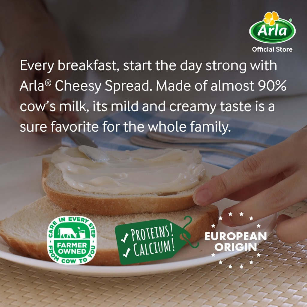 Arla Cheesy Spread 140g Lazada PH