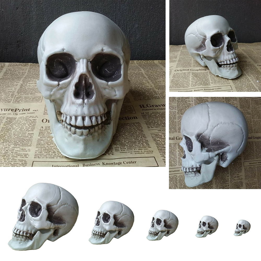 10x Mini Human Skull Head Figurine Skeleton Halloween Party Bag Home Ornaments 