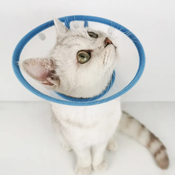 Cat licking collar Clearance