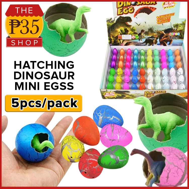 5pcs (Bundle Pack) Mini Hatching Adorable Dinosaur Egg Kids Toy, Colorful  Crack Dinosaur Eggs Toy for Party Giveaways | Lazada PH