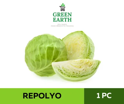 GREEN EARTH FRESH REPOLYO / CABBAGE - 1PC (Approx. 500-700g)