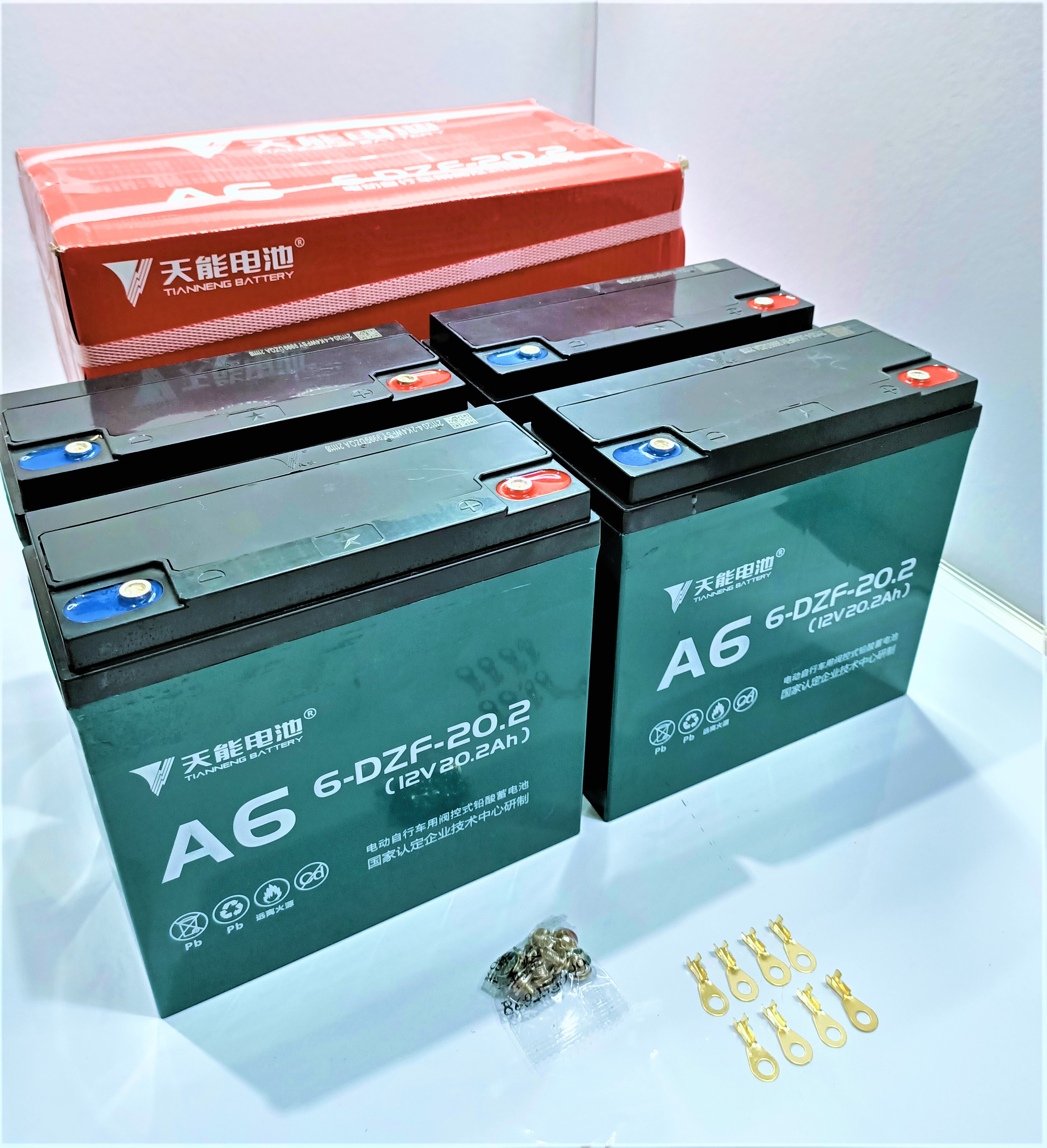Ebike Battery Tianneng Brand High Quality And Tested Ebike Product