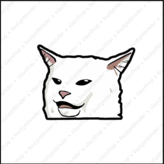 Table Cat Meme - Peeker Sticker Waterproof Laminated Vinyl | Lazada PH