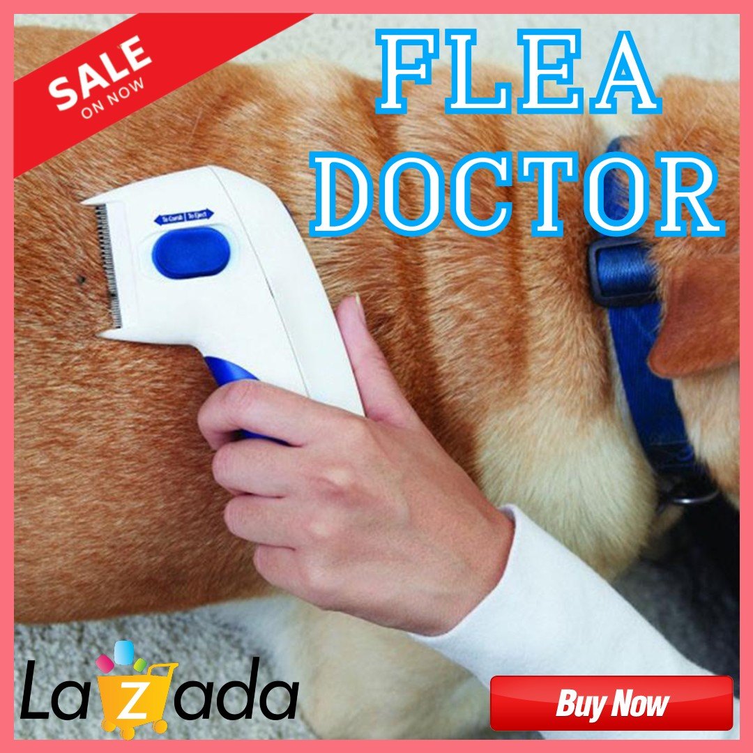 non electric hot comb