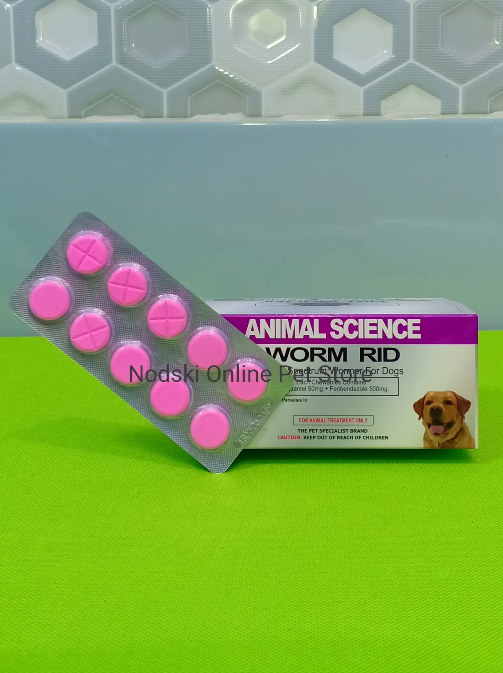 Does Beer Kill Worms In Dogs