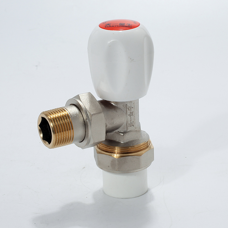 Tianyi PPR temperature control valve radiator radiator radiator angle