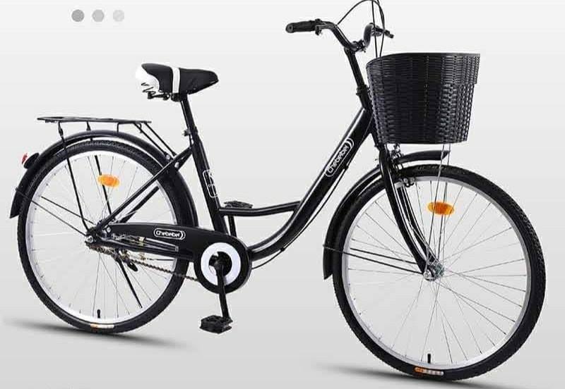 bike with basket adult