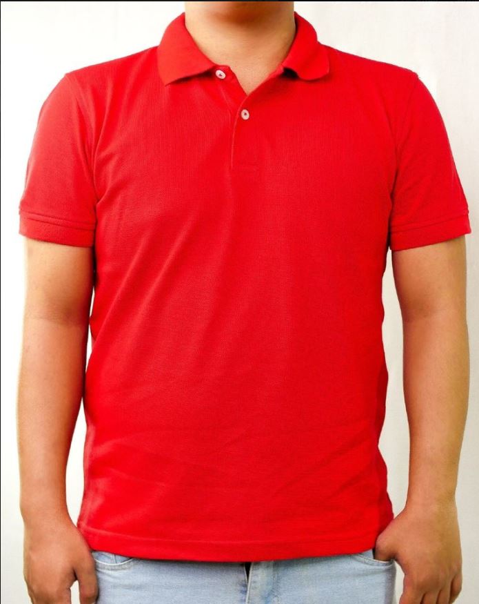 Dannon Polo Shirt Red | Lazada PH