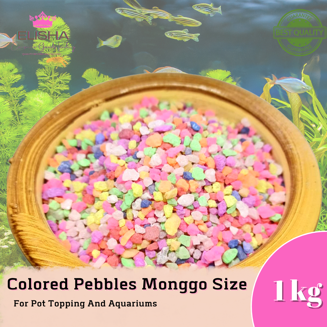 ELISHA 1KG. FISH AQUARIUMS COLORED PEEBLES CORN SIZE SAFE TO USED AS