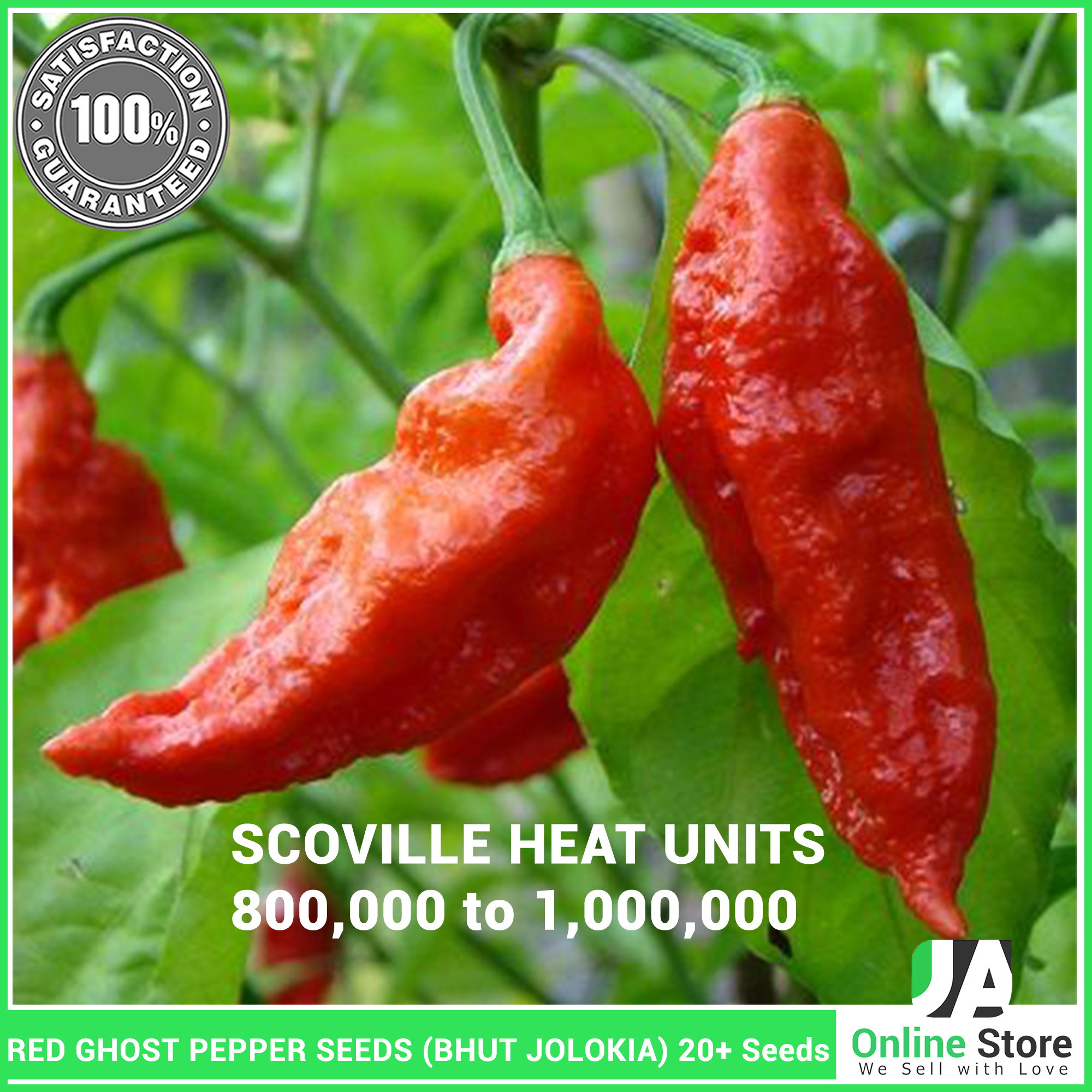 Red Ghost Chilli Seeds Bhut Jolokia Hot Pepper 10 Seeds 