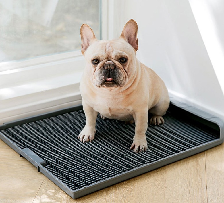 Dream】potty tray for dogs dog pee tray pee pads for dogs training - Main Image