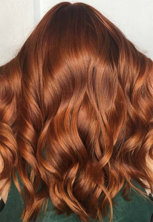 Warm Sunset Ginger Beer Warm Copper Hair Coloring Permanent Copper Hair  Color  Celtic Copper Fashion Hair Color | Lazada PH