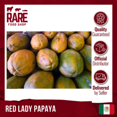 Red Lady Papaya