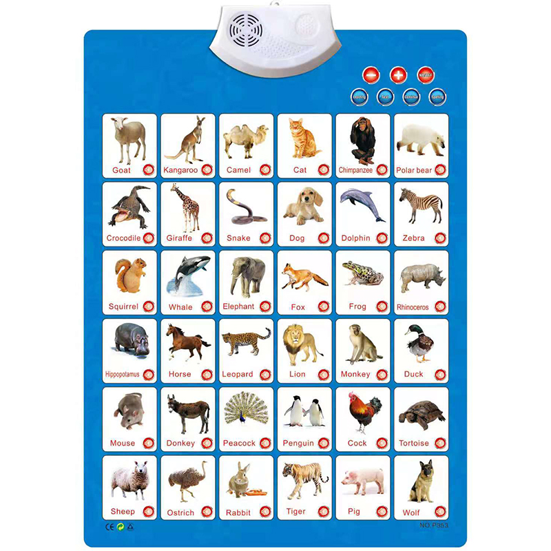 Talking Educational Wall Sound Chart ABC Alphabet / Numbers / Vegetables /  Fruits/ Animals Chart Poster | Lazada PH