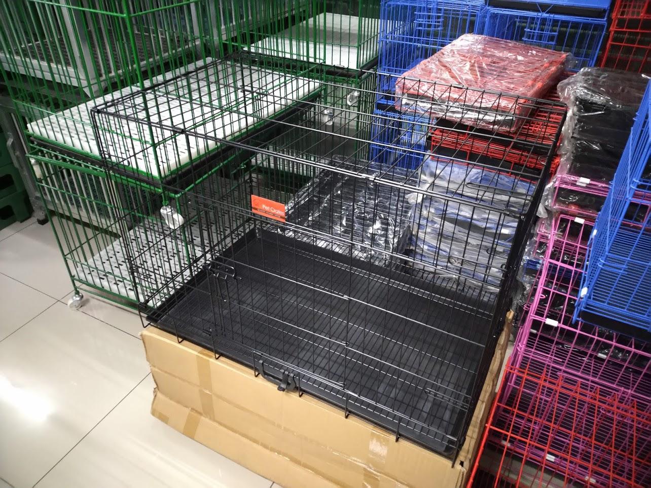 PET CRATES 4 Any Color Lazada PH