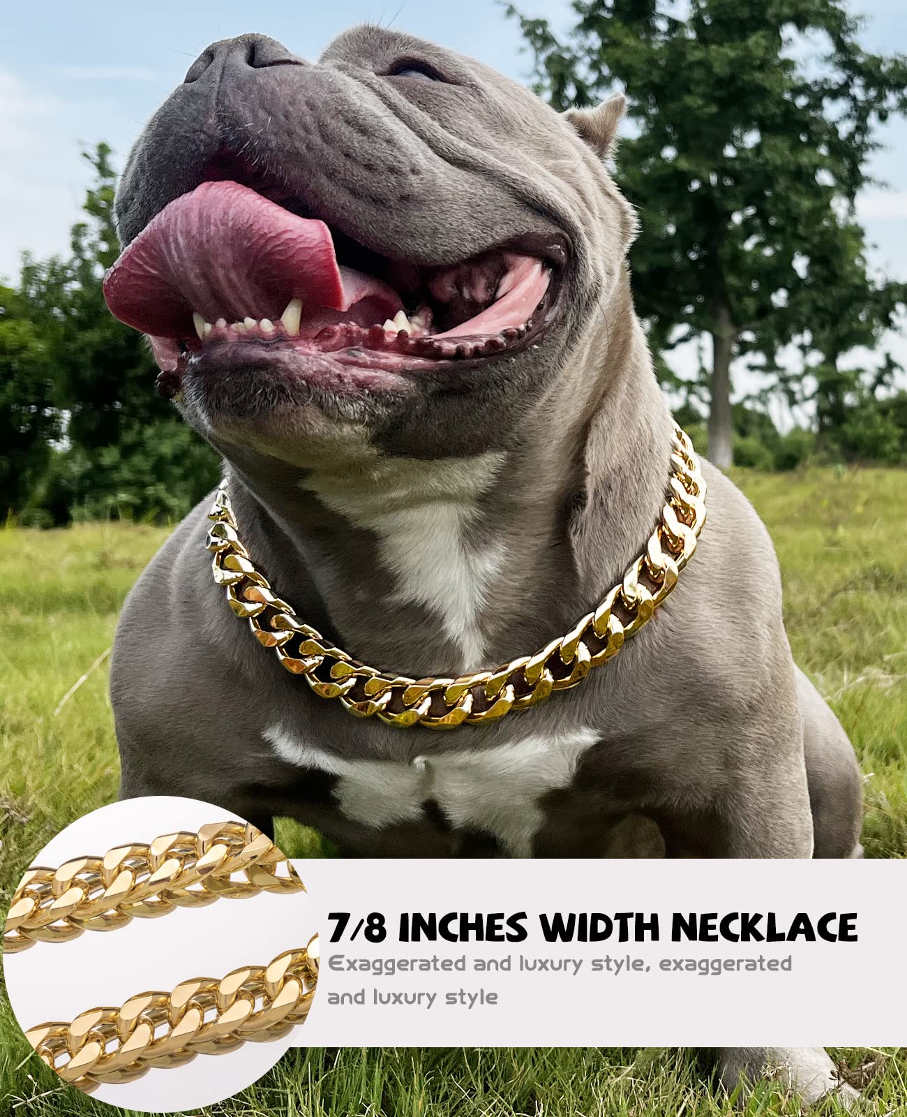 Leash Cuban Dog Collar Chain 19mm Stainless Steel Coating Silver - Main Image