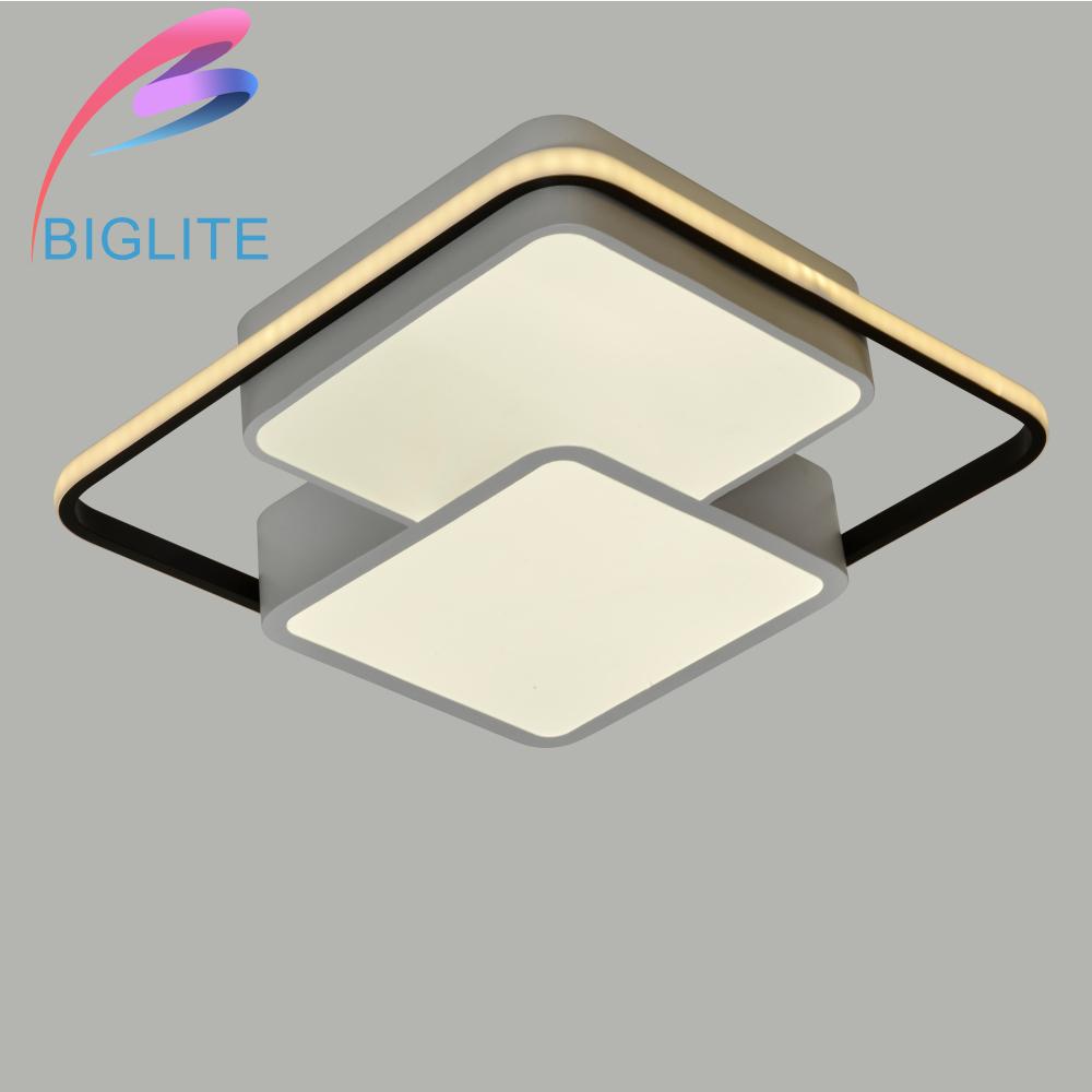 biglite ceiling lights