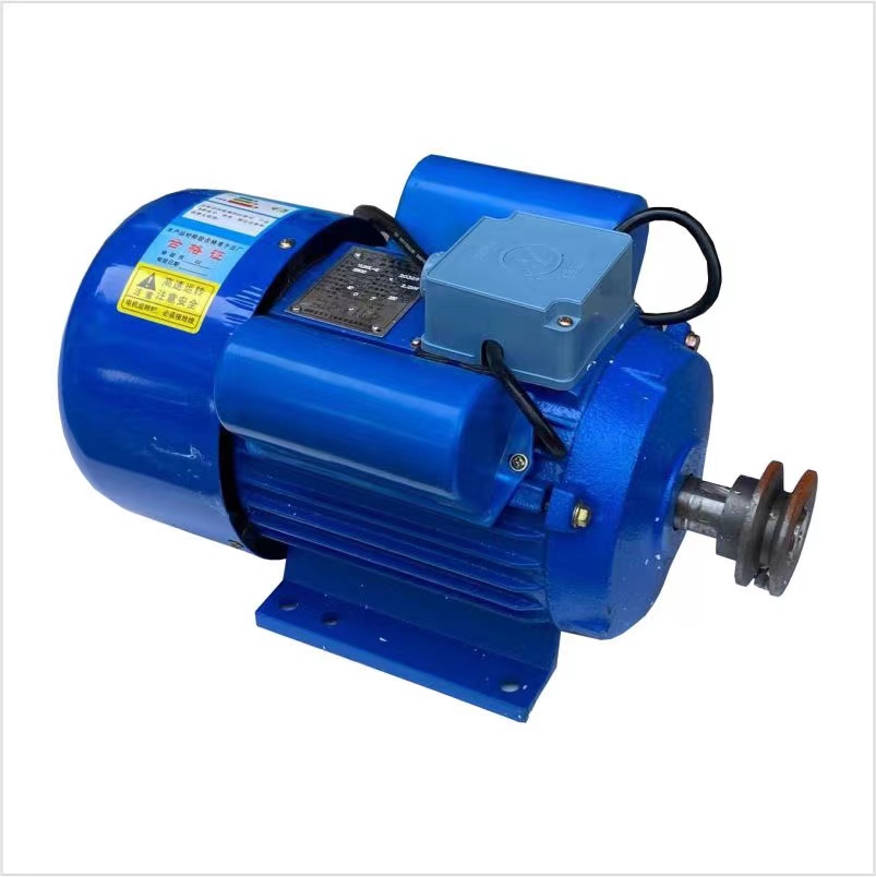 Grinder/Meat Grinder Machine Motor Induction motor motor 220V 2200W Lazada PH