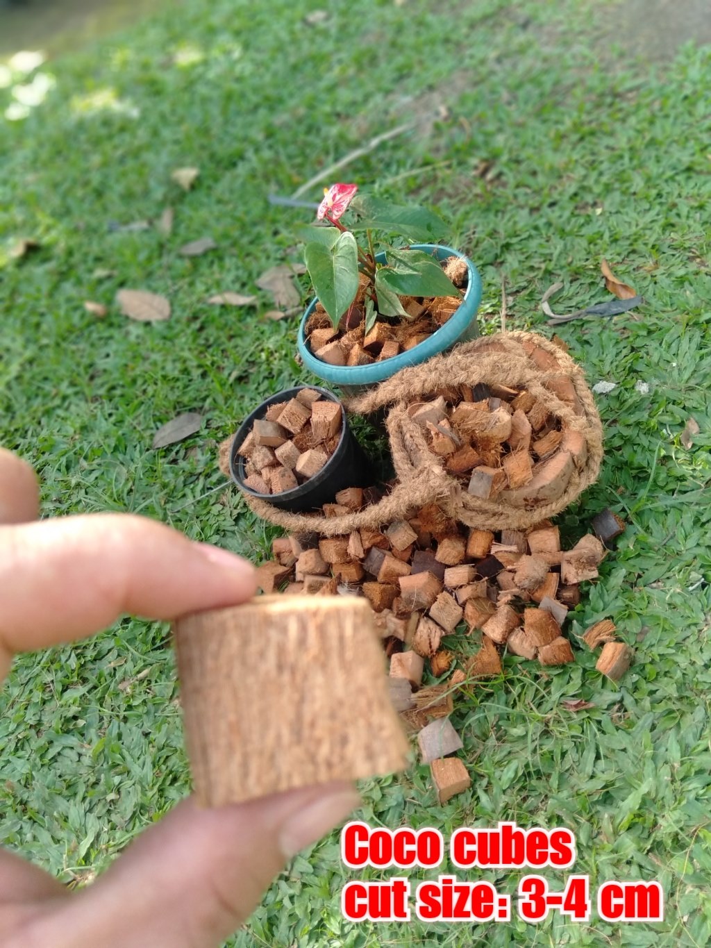 250grams High Quality Coco Cubes for your plants Maganda at mabisang