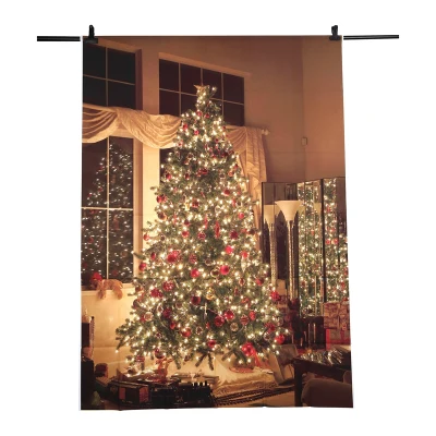 5X7FT Christmas theme Pictorial cloth photography Backdrop Background studio prop