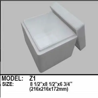Styro Box Cooler Z1-for Medicine transport and others